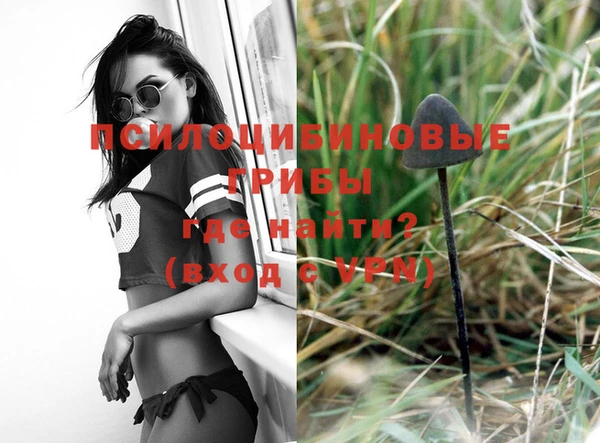 прущие крисы Абинск