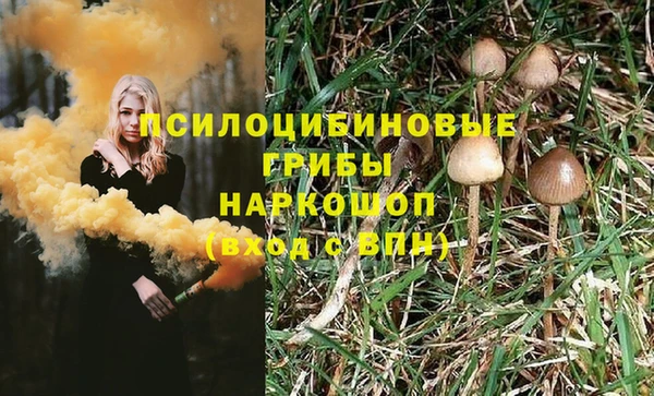 прущие крисы Абинск