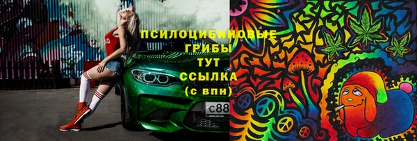 прущие крисы Абинск