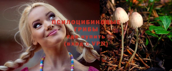 прущие крисы Абинск
